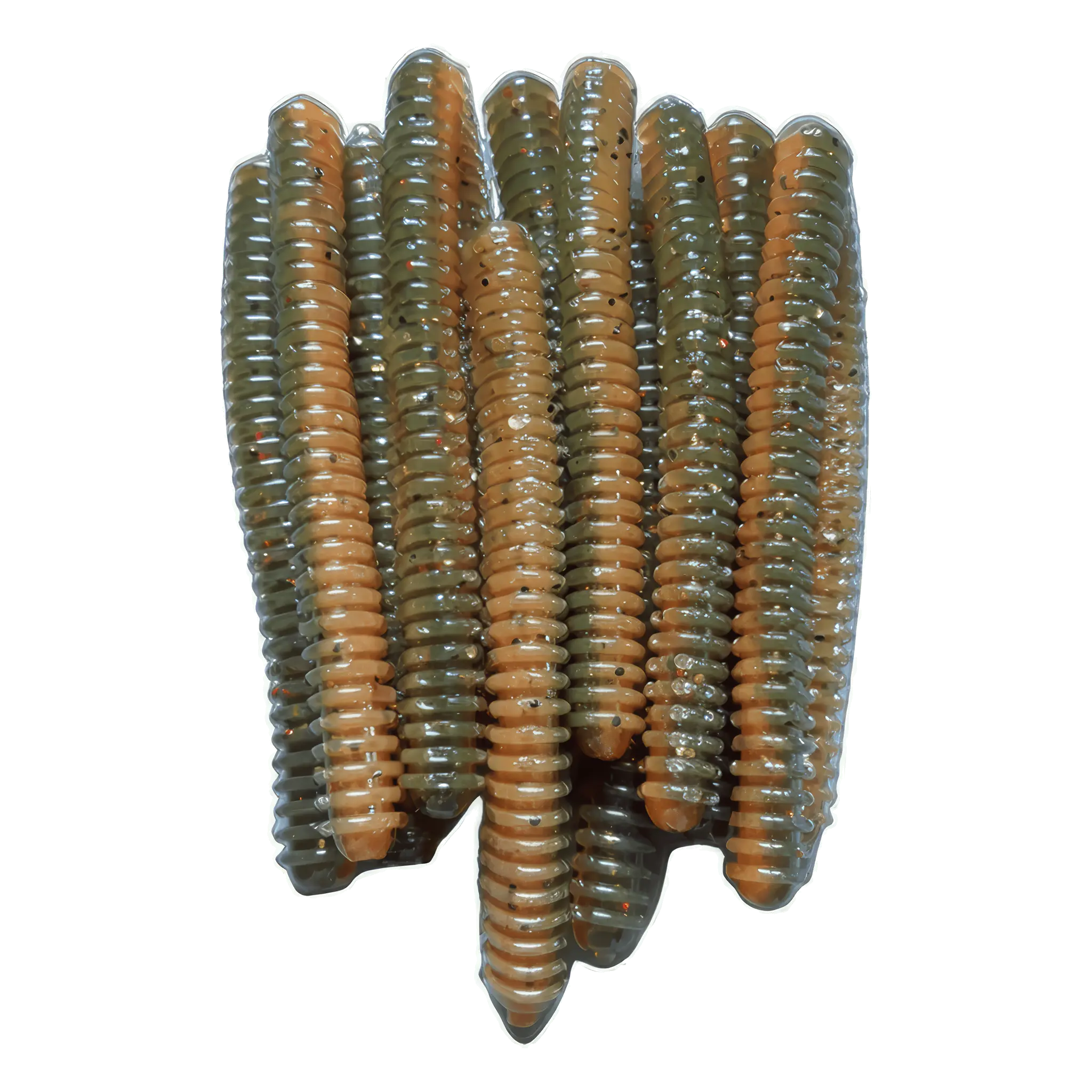 Ring Worm