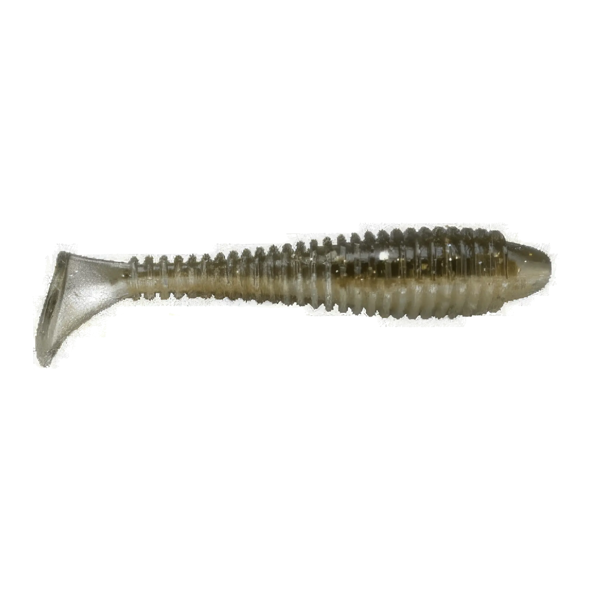 Swimbait