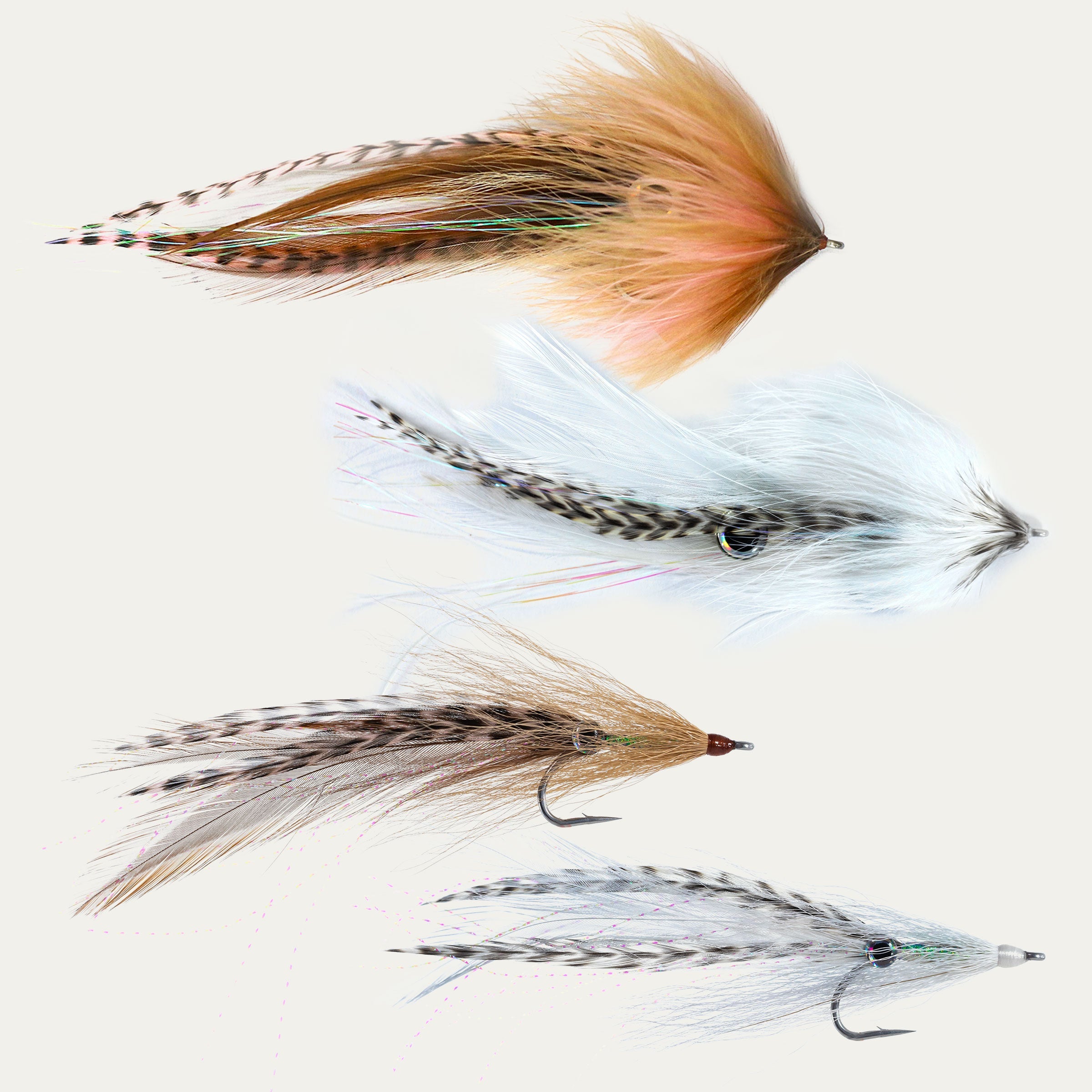 Surtido de moscas Calamari Collection