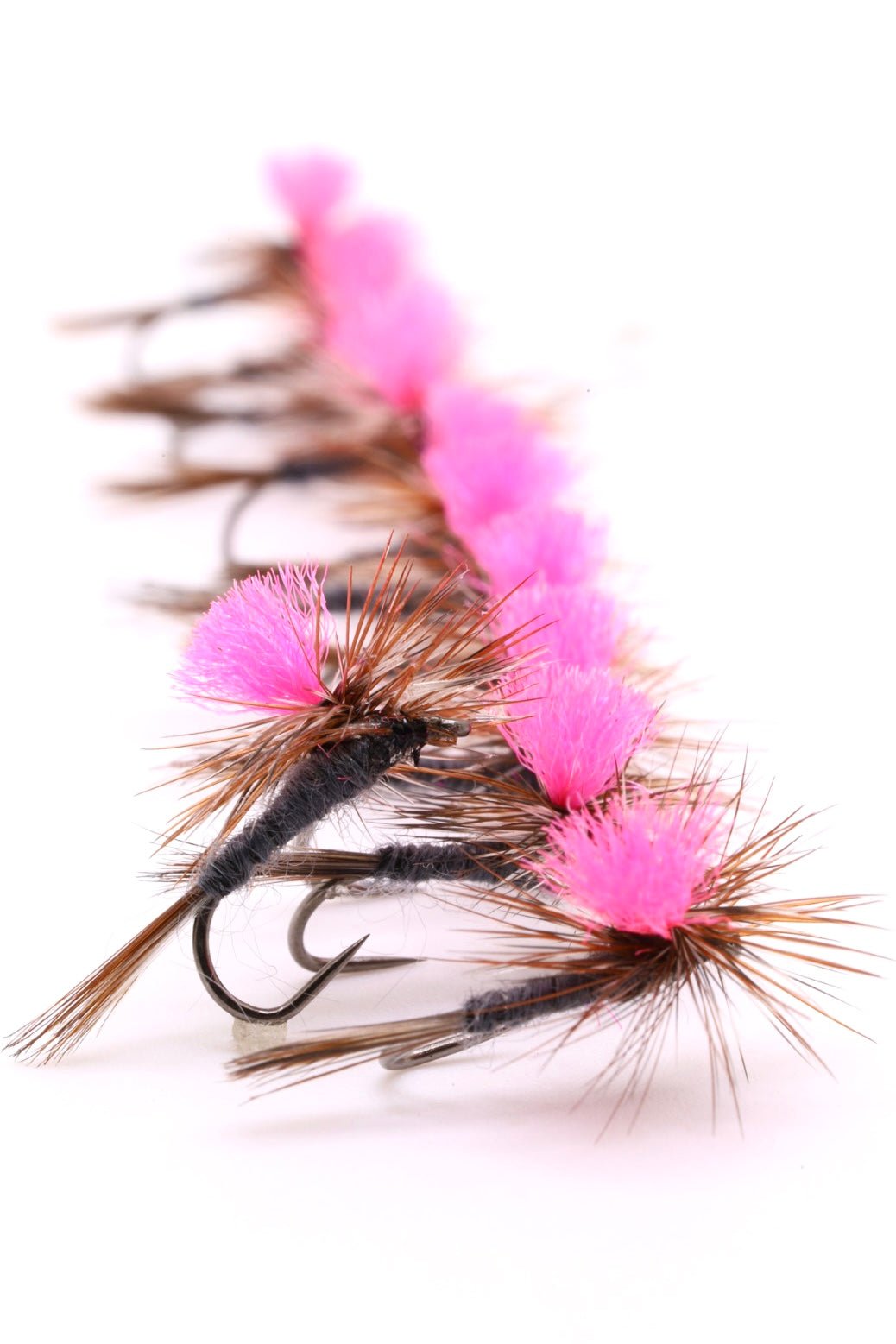 Para Adams haute visibilité