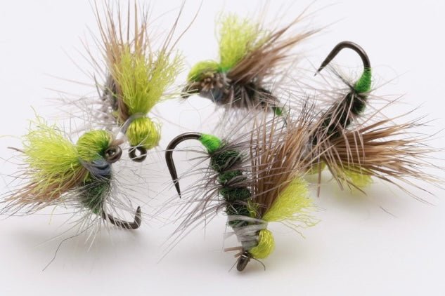 Chartreuse de carex haute visibilité