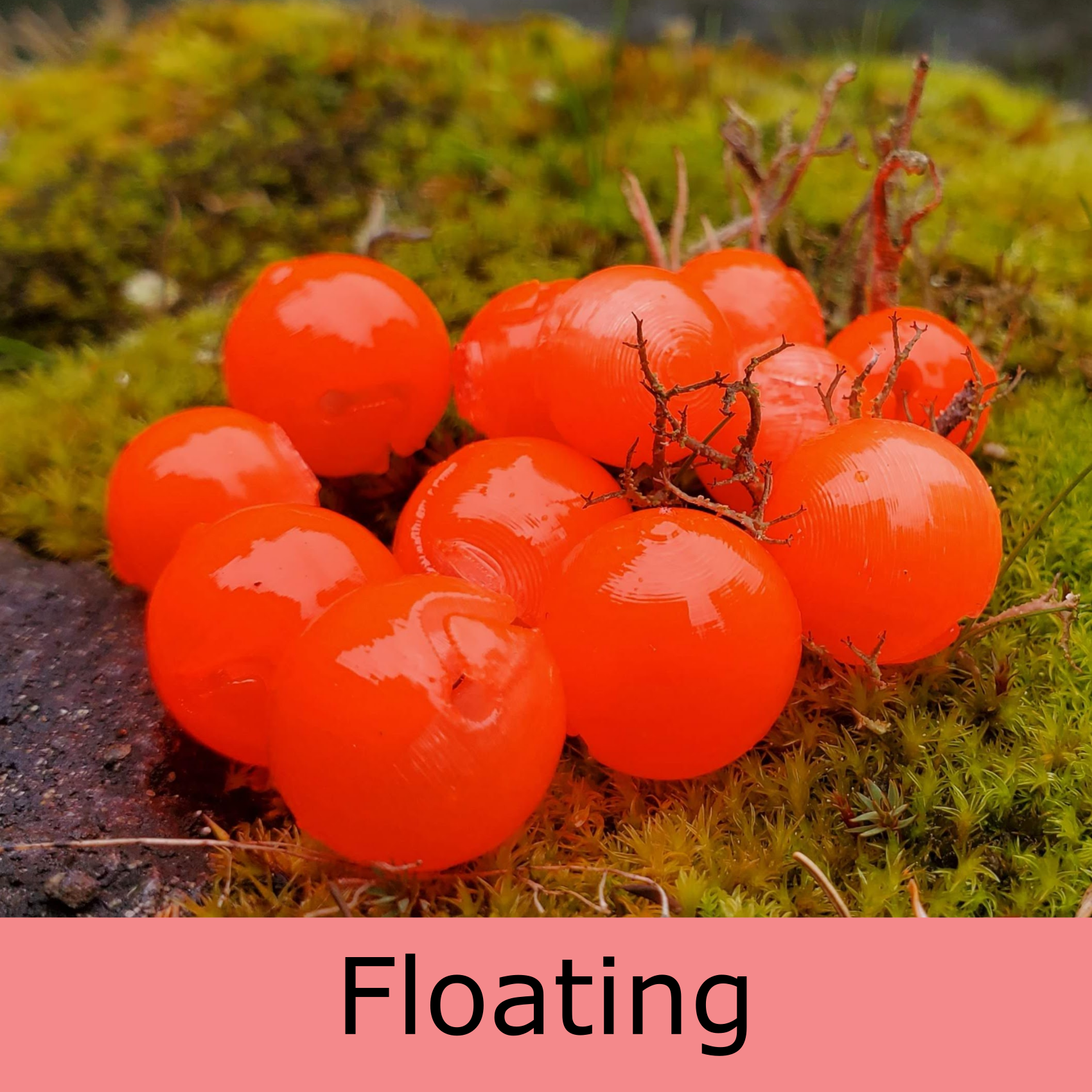 Mercurial Bead - Floating - Poppin' Peach