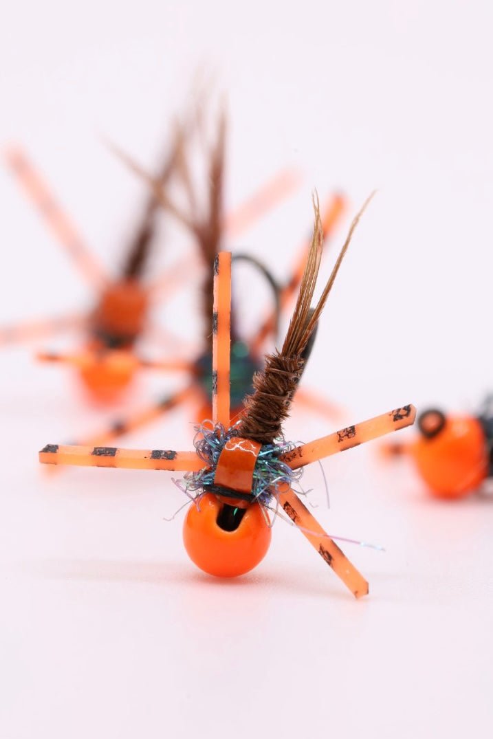 Queue de faisan orange avec patte