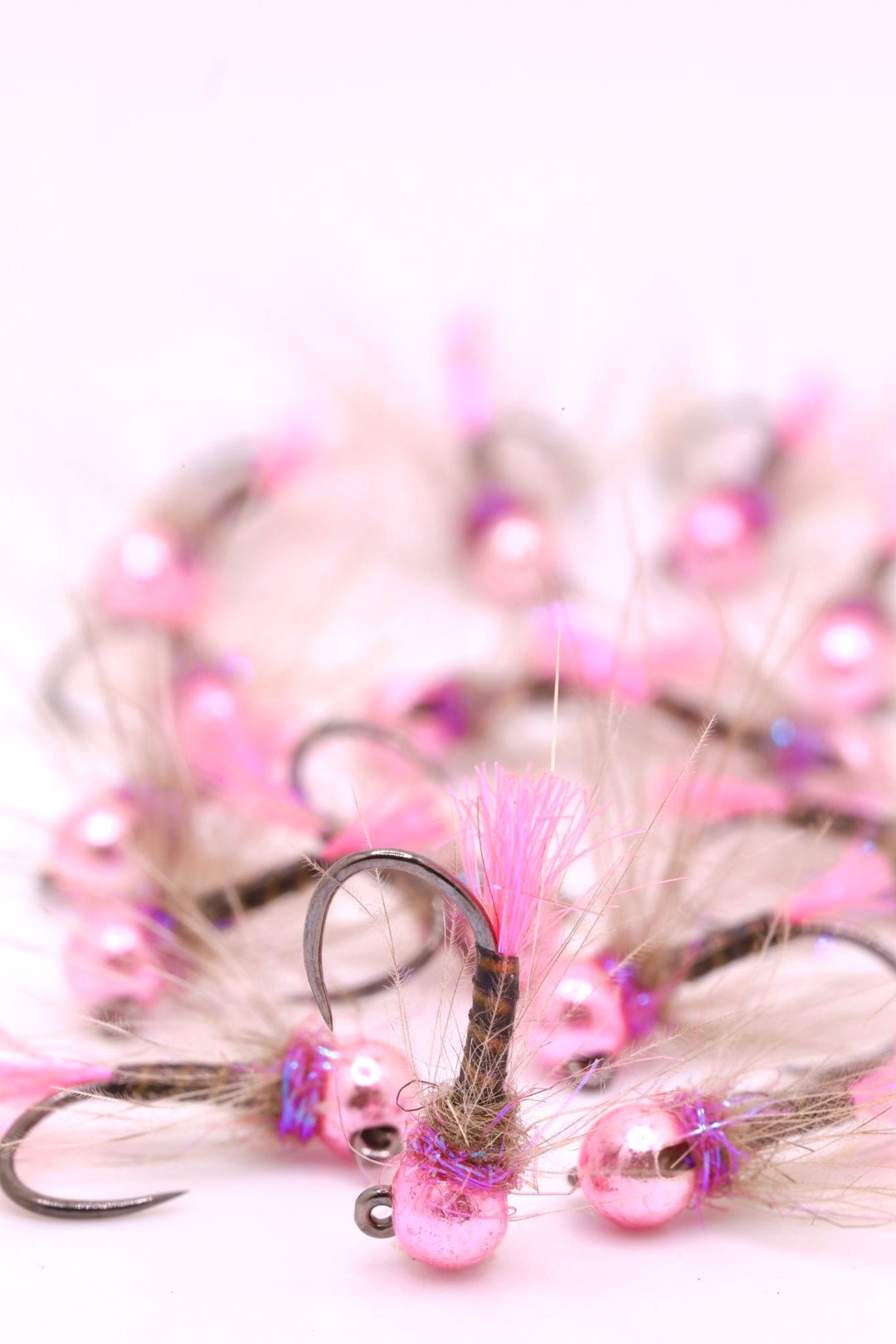 Plume de paon rose CDC