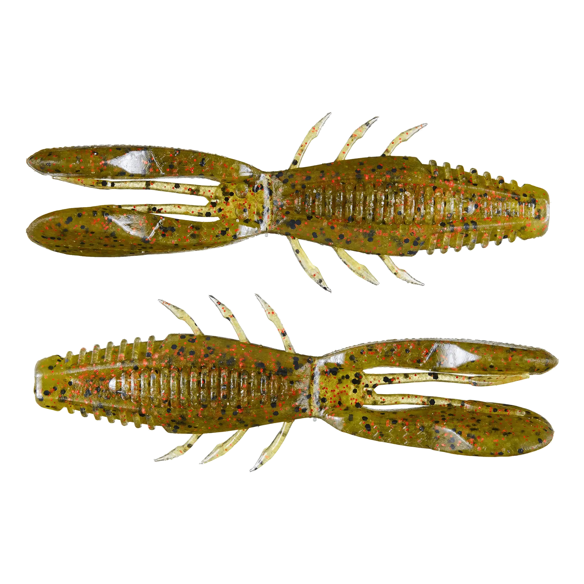 Aplastar el insecto Bronco de la ciudad