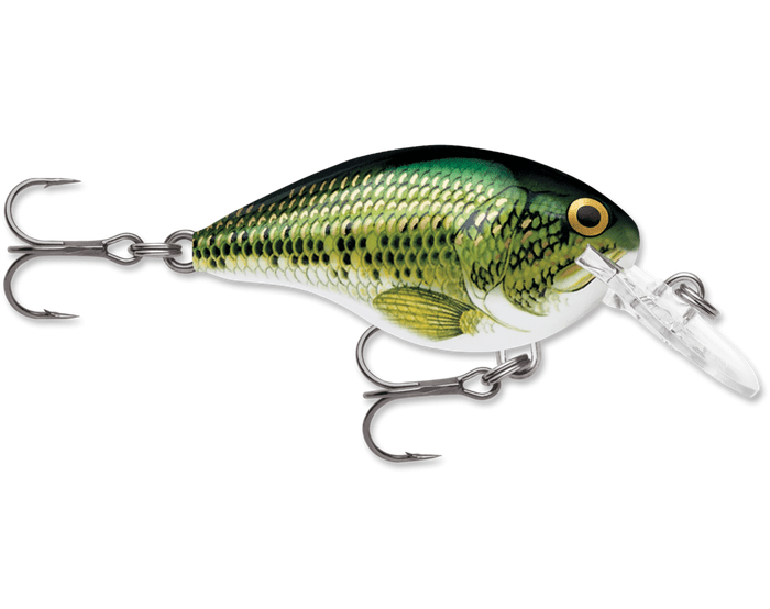 Rapala - DT10 Series Crankbait - Bobber Bargain