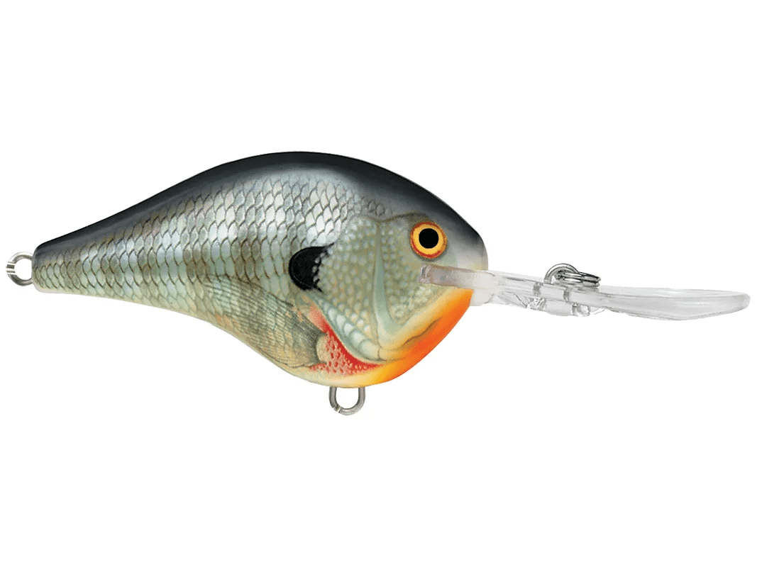 Rapala - DT10 Series Crankbait - Bobber Bargain