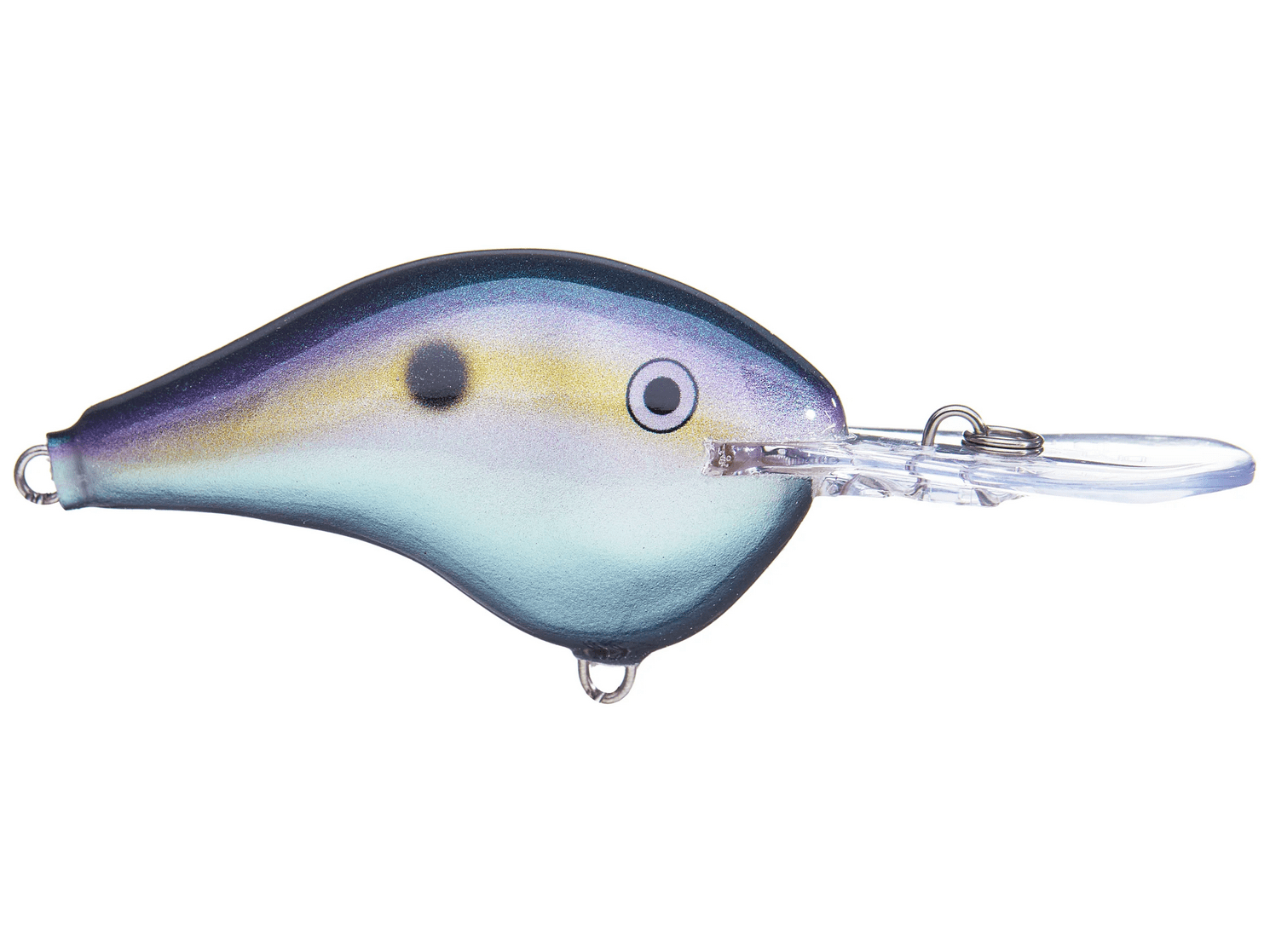 Rapala - DT10 Series Crankbait - Bobber Bargain