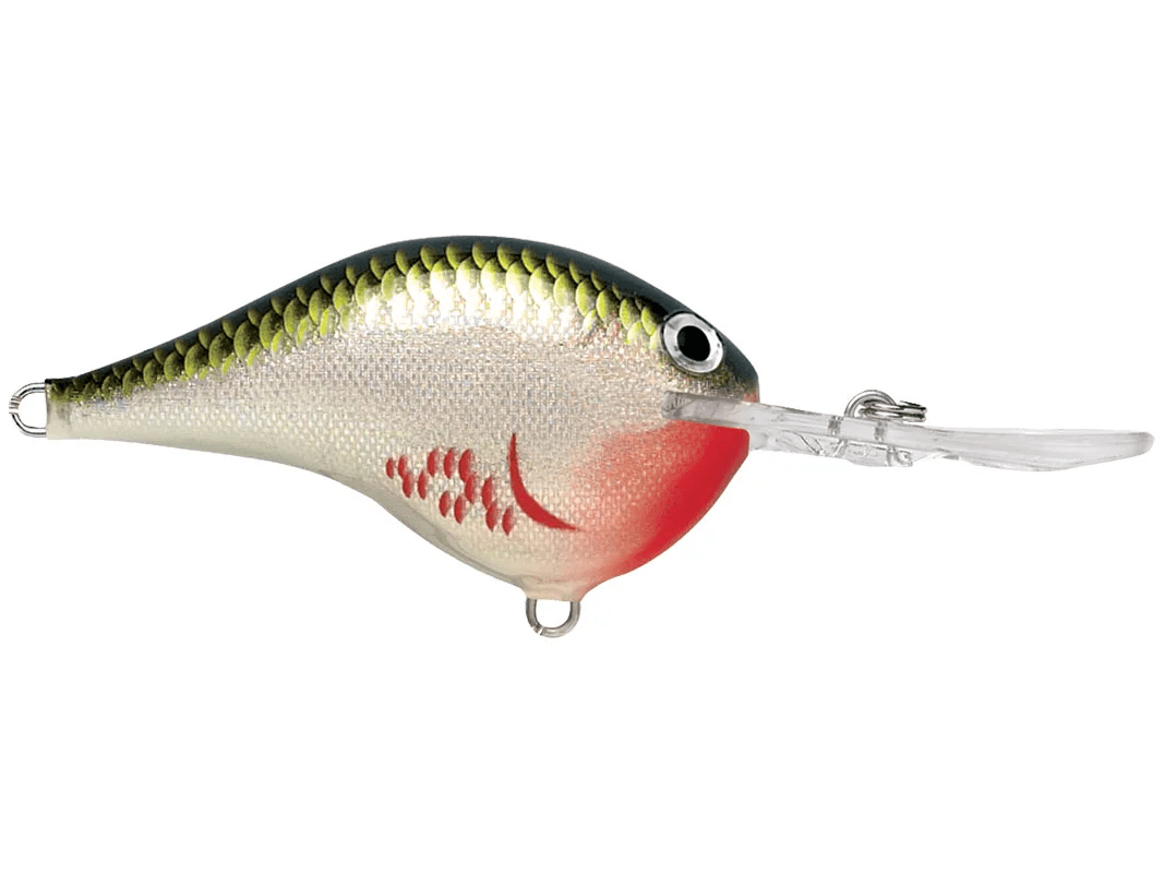Rapala - DT10 Series Crankbait - Bobber Bargain