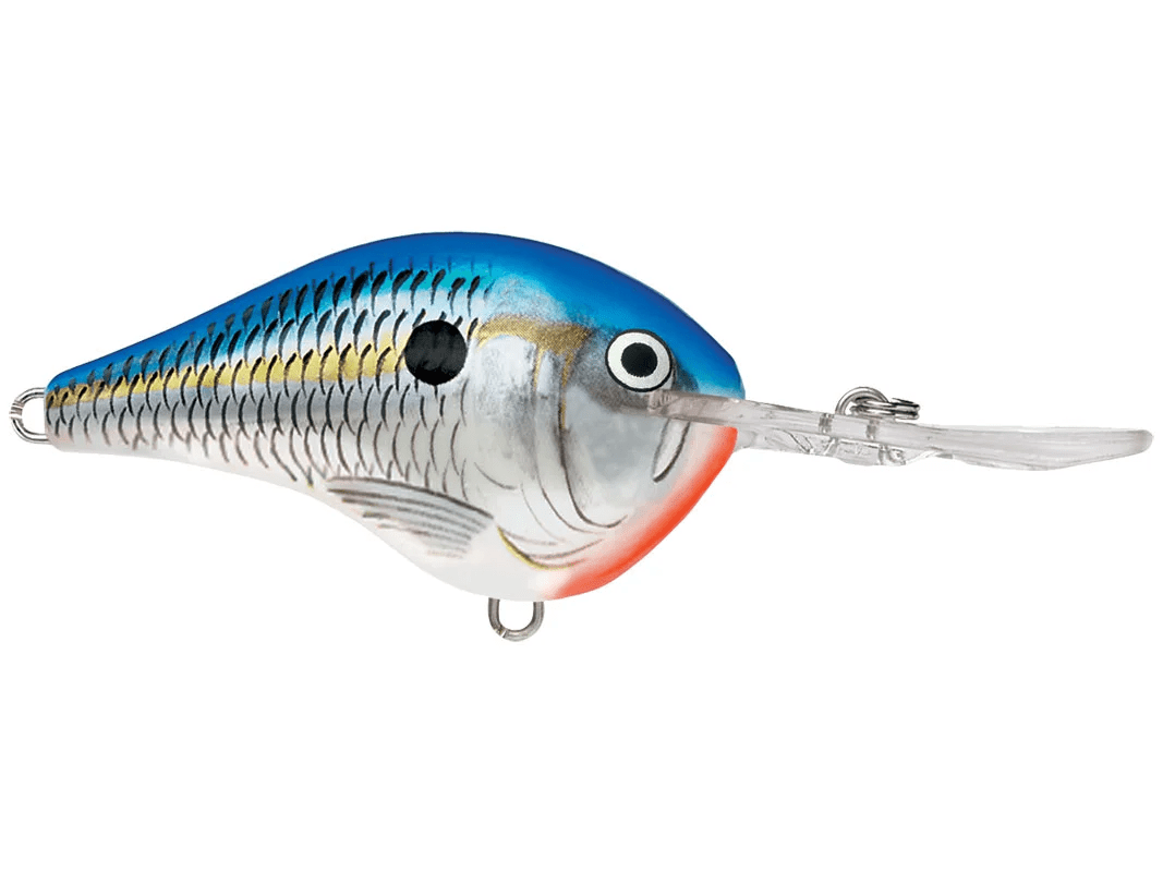 Rapala - DT10 Series Crankbait - Bobber Bargain