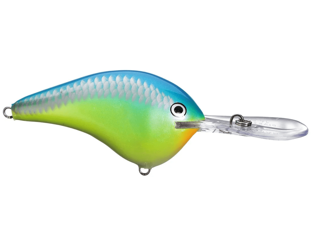 Rapala - DT10 Series Crankbait - Bobber Bargain