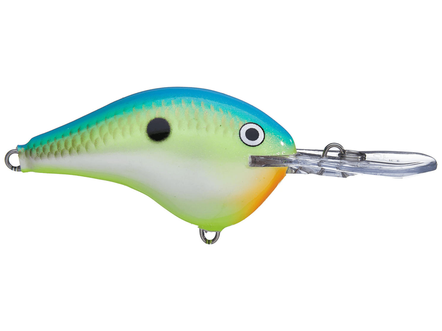 Rapala - DT10 Series Crankbait - Bobber Bargain