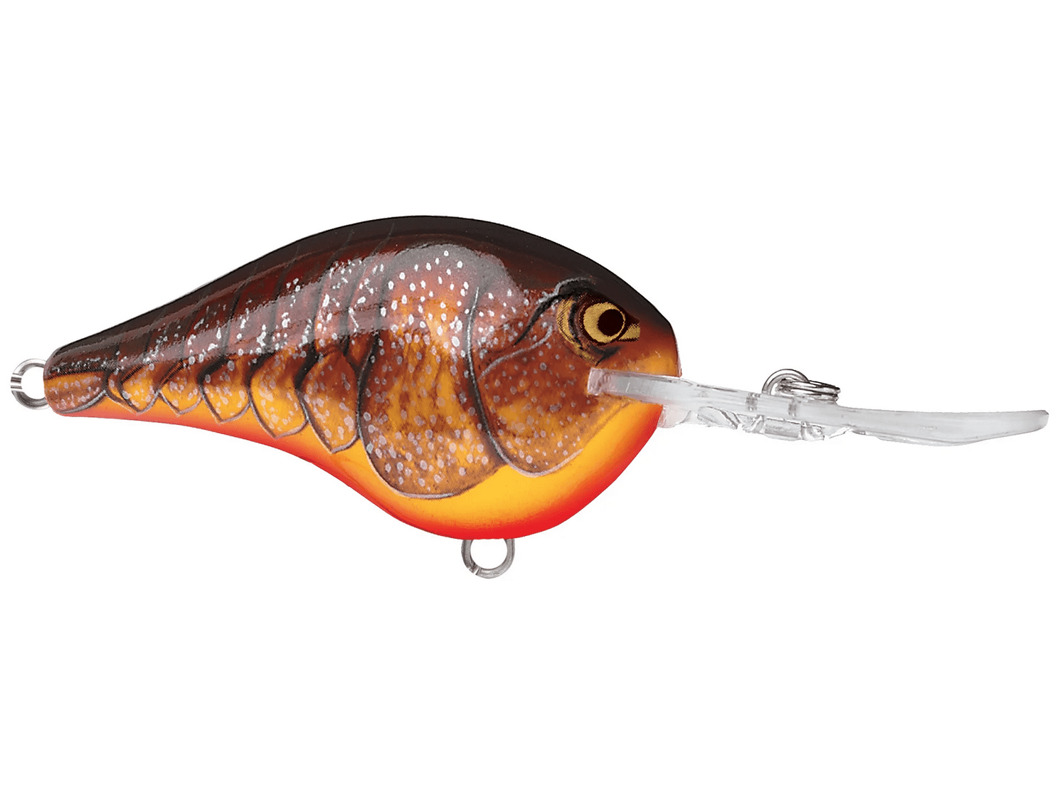 Rapala - DT10 Series Crankbait - Bobber Bargain