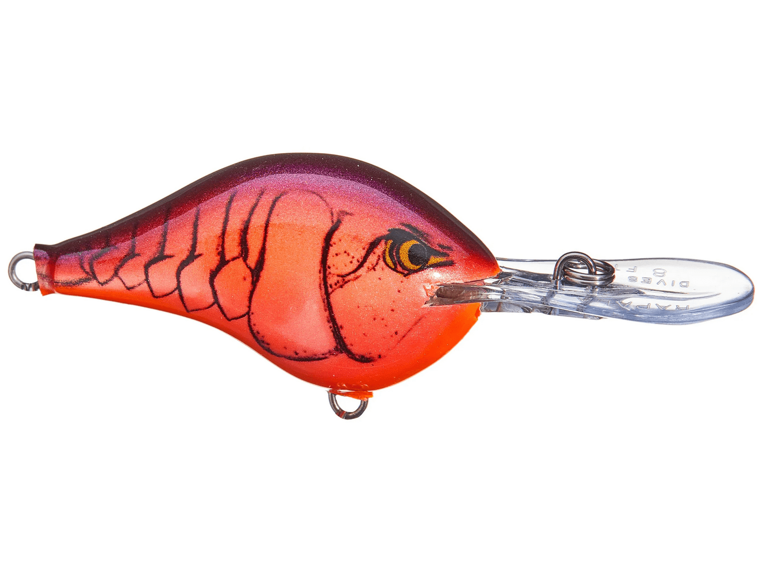 Rapala - DT10 Series Crankbait - Bobber Bargain