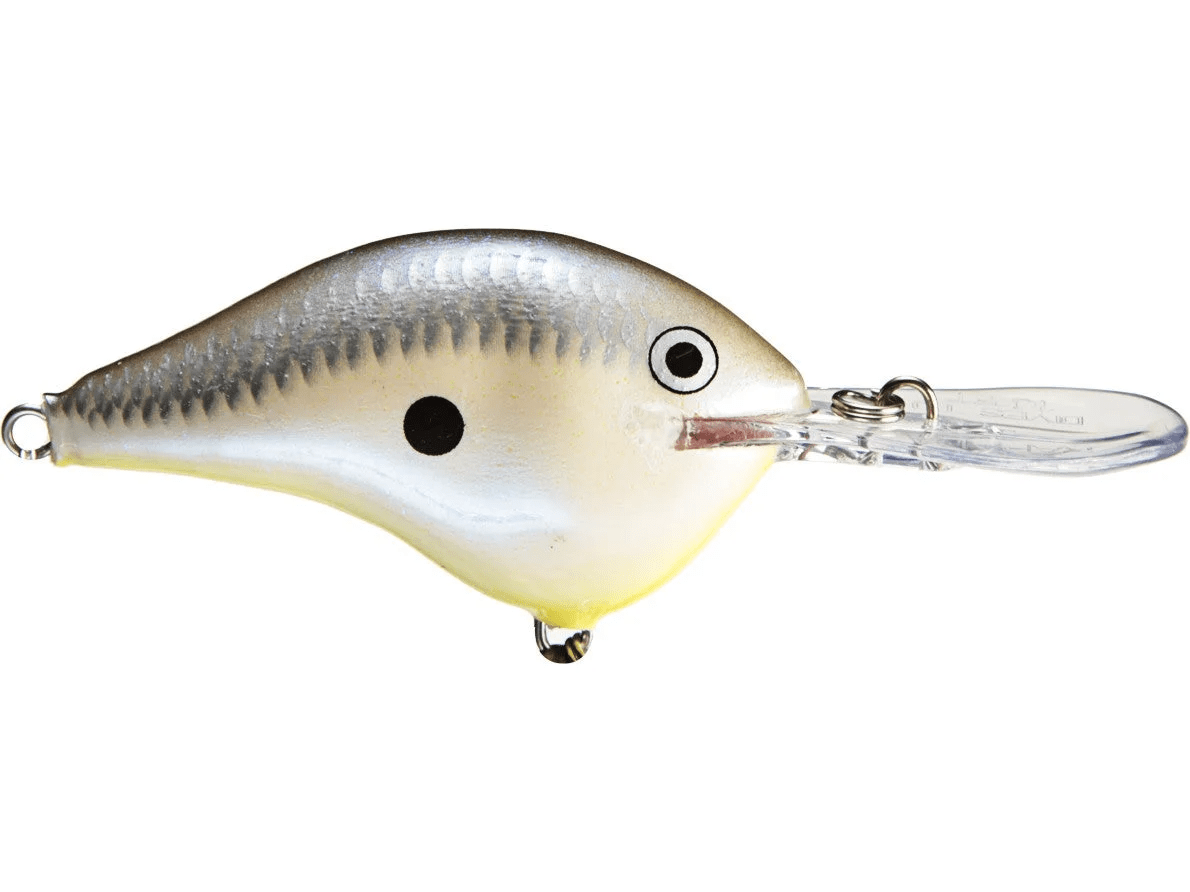Rapala - DT10 Series Crankbait - Bobber Bargain