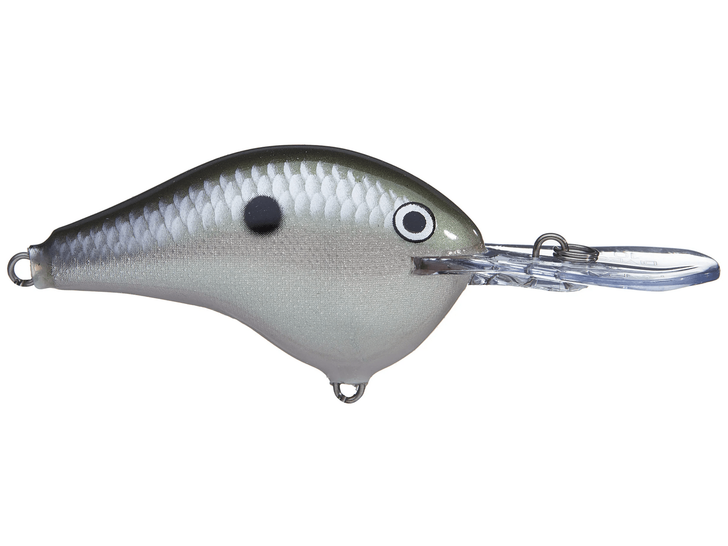 Rapala - DT10 Series Crankbait - Bobber Bargain