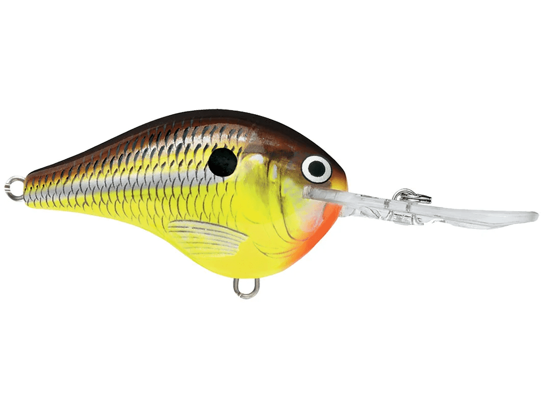 Rapala - DT10 Series Crankbait - Bobber Bargain