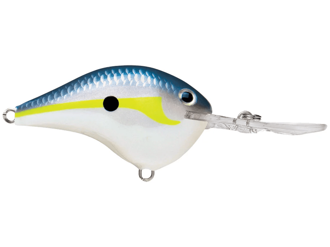 Rapala - DT10 Series Crankbait - Bobber Bargain
