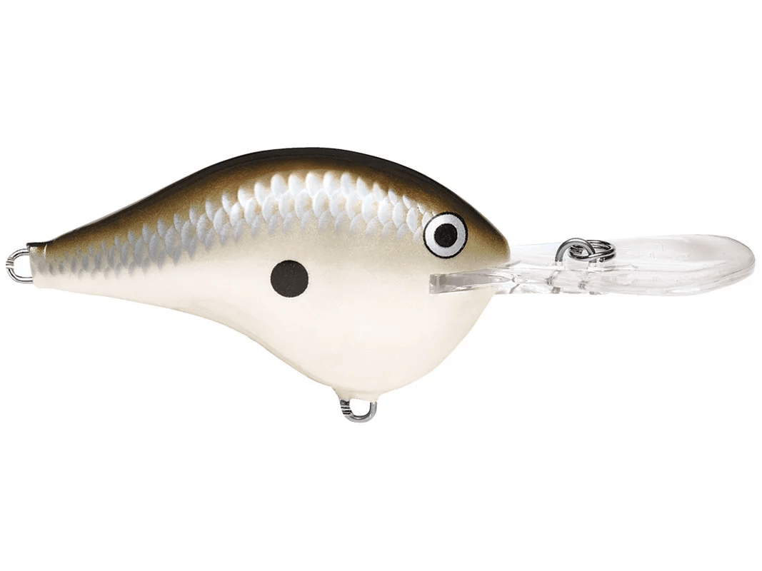 Rapala - DT10 Series Crankbait - Bobber Bargain