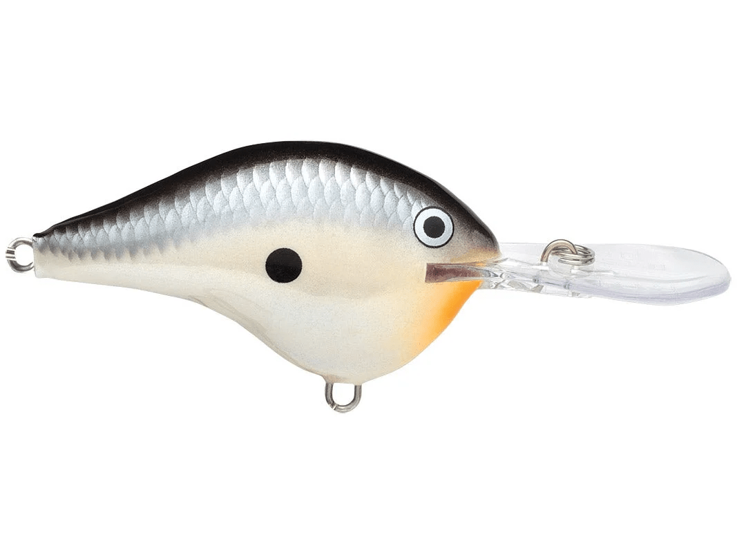 Rapala - DT10 Series Crankbait - Bobber Bargain