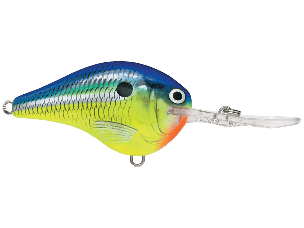 Rapala - DT10 Series Crankbait - Bobber Bargain