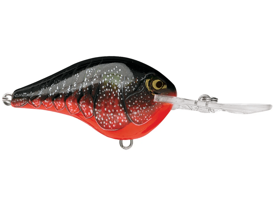 Rapala - DT10 Series Crankbait - Bobber Bargain
