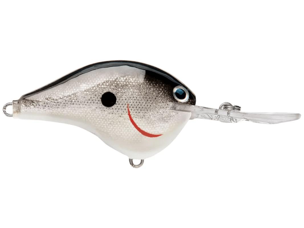 Rapala - DT10 Series Crankbait - Bobber Bargain