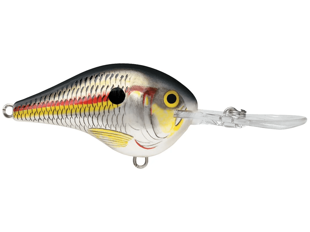 Rapala - DT10 Series Crankbait - Bobber Bargain