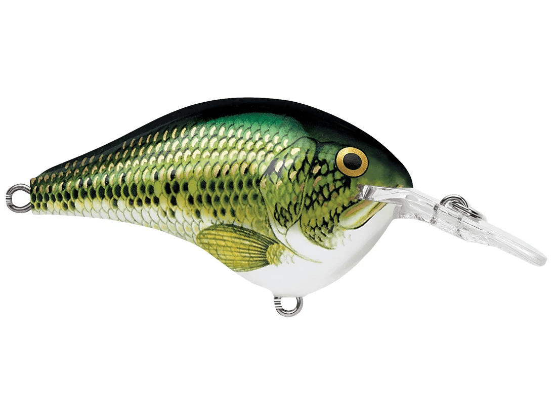 Rapala - DT6 Series Crankbait - Bobber Bargain