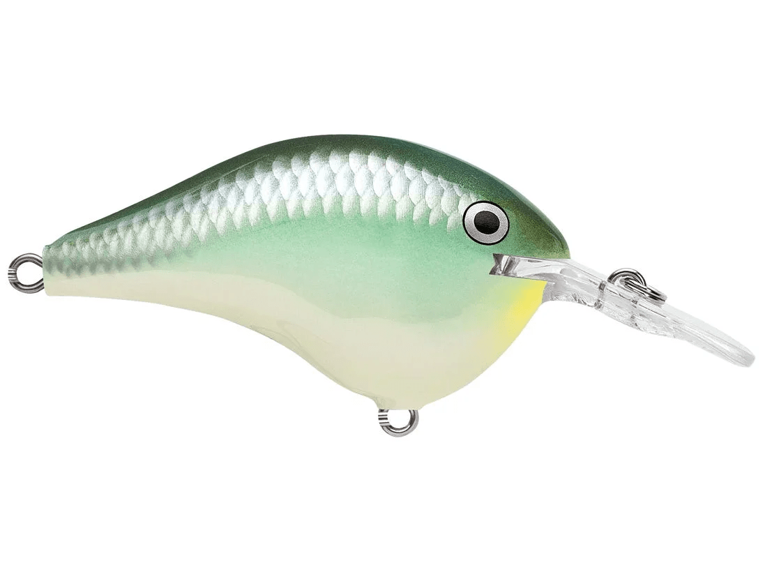 Rapala - DT6 Series Crankbait - Bobber Bargain