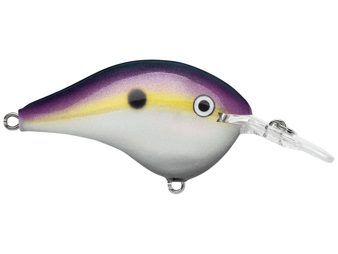Rapala - DT6 Series Crankbait - Bobber Bargain