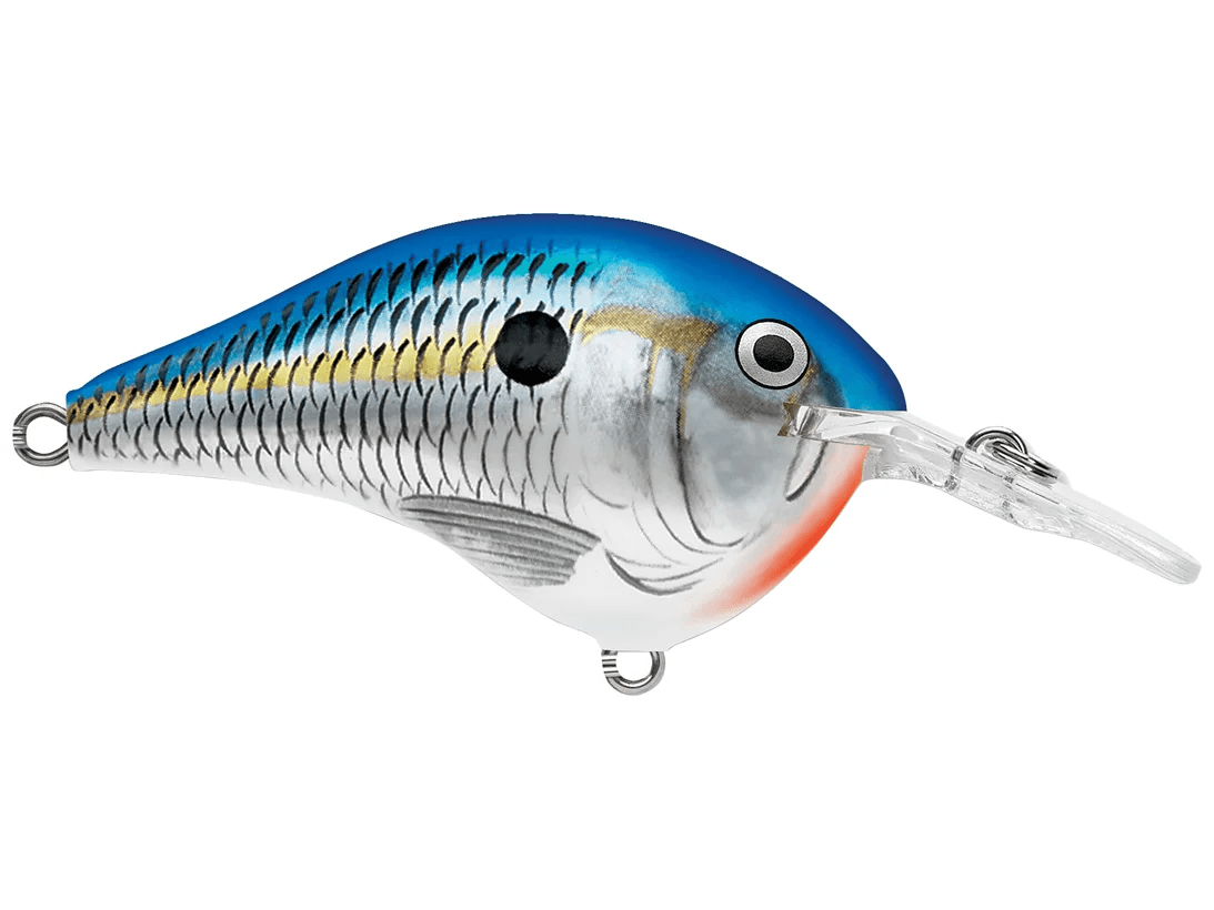 Rapala - DT6 Series Crankbait - Bobber Bargain