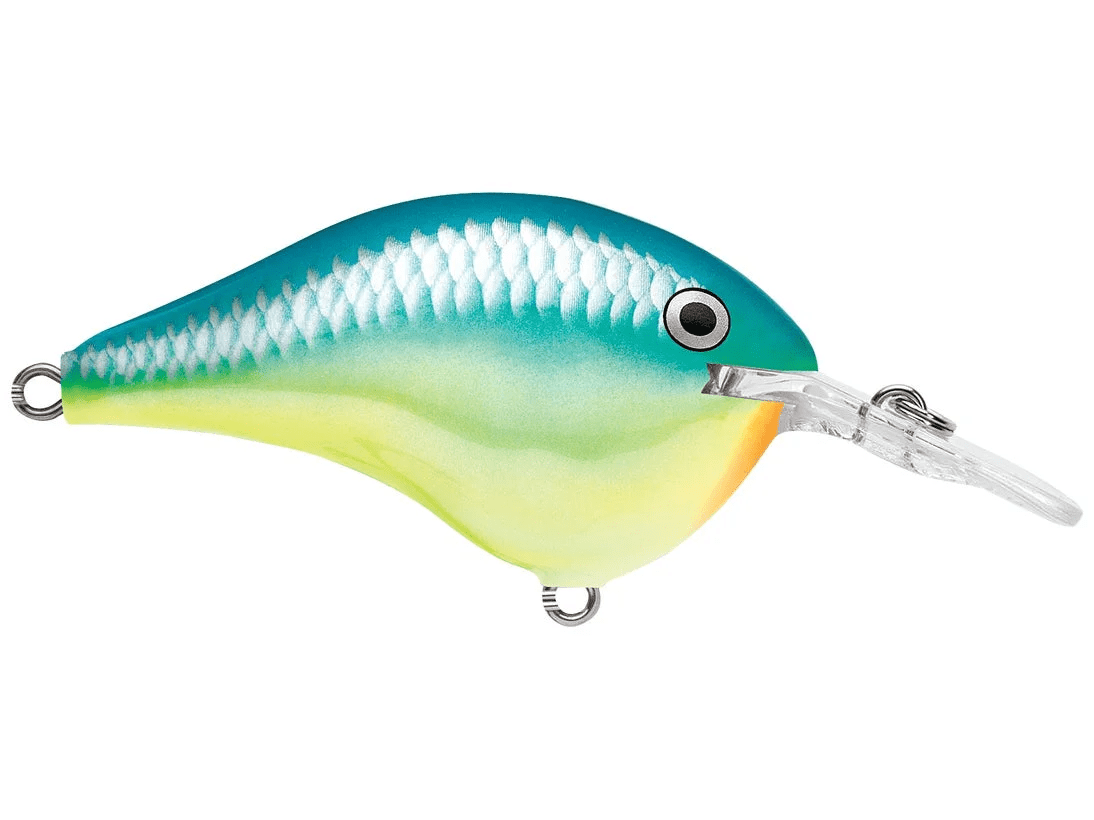 Rapala - DT6 Series Crankbait - Bobber Bargain