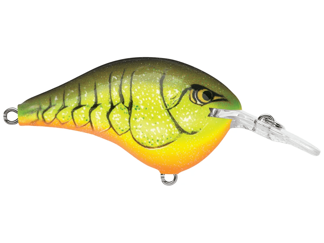 Rapala - DT6 Series Crankbait - Bobber Bargain