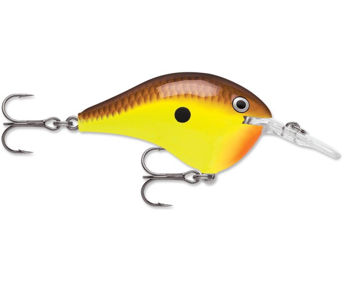 Rapala - DT6 Series Crankbait - Bobber Bargain
