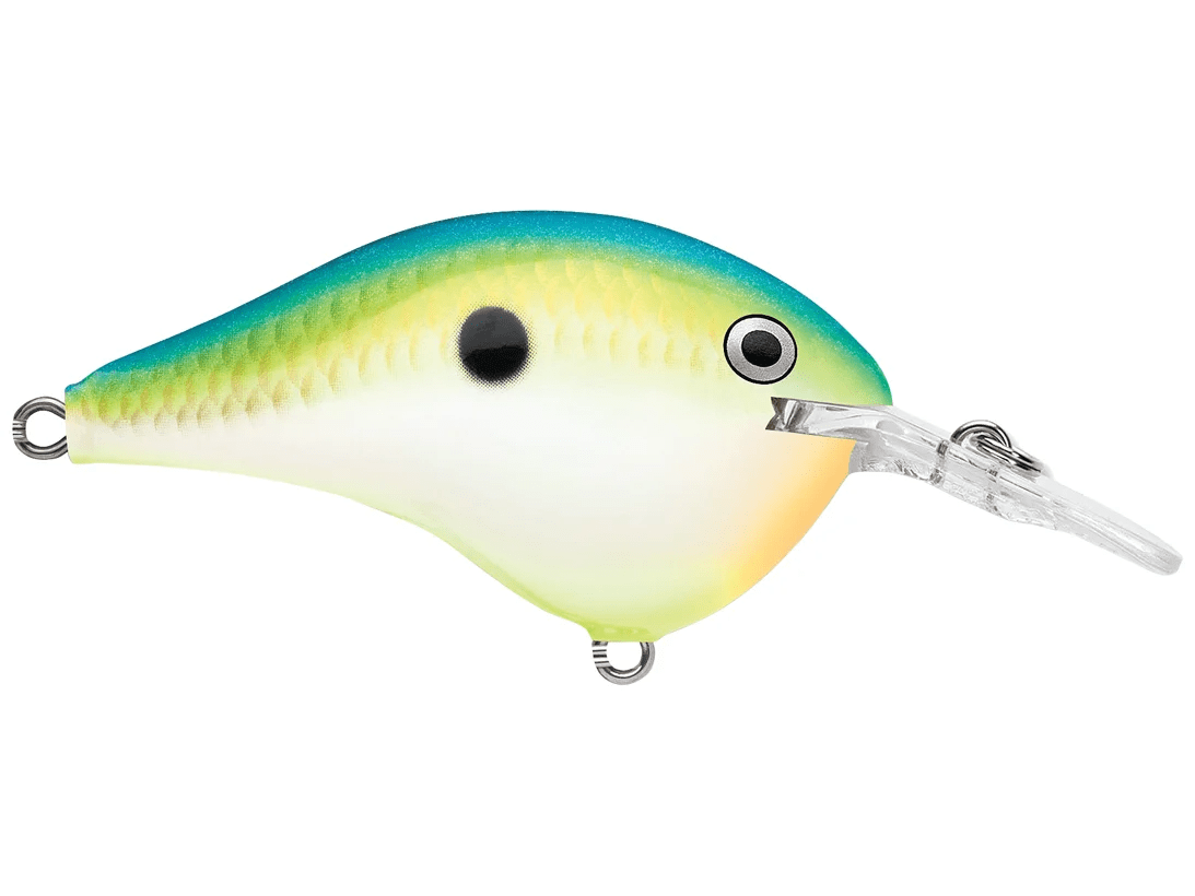 Rapala - DT6 Series Crankbait - Bobber Bargain