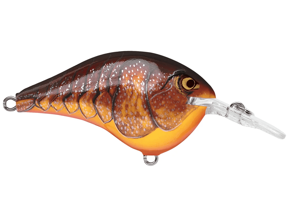Rapala - DT6 Series Crankbait - Bobber Bargain