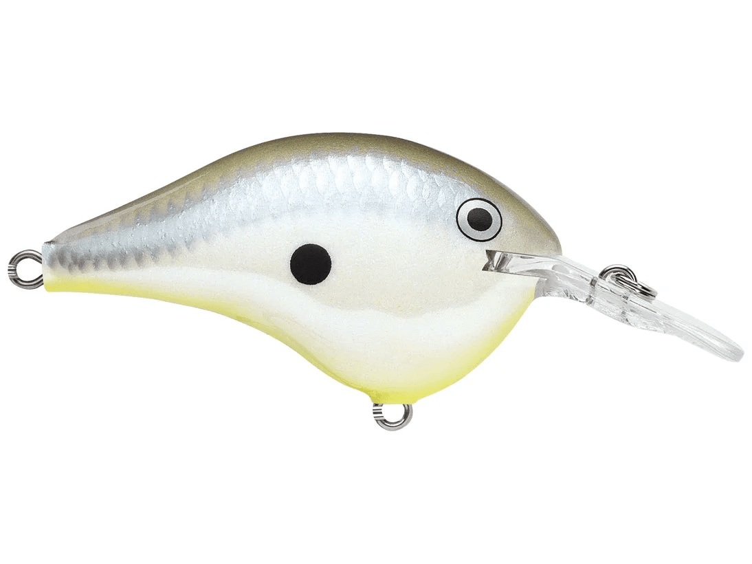 Rapala - DT6 Series Crankbait - Bobber Bargain