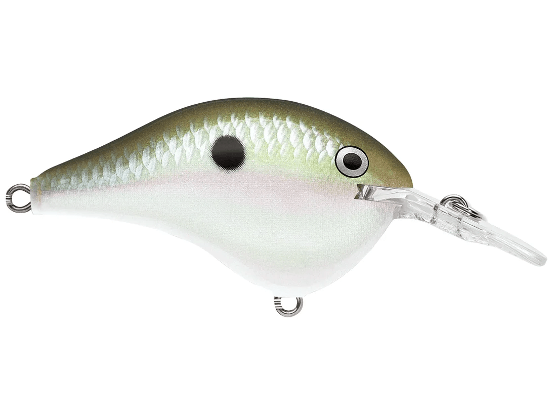 Rapala - DT6 Series Crankbait - Bobber Bargain
