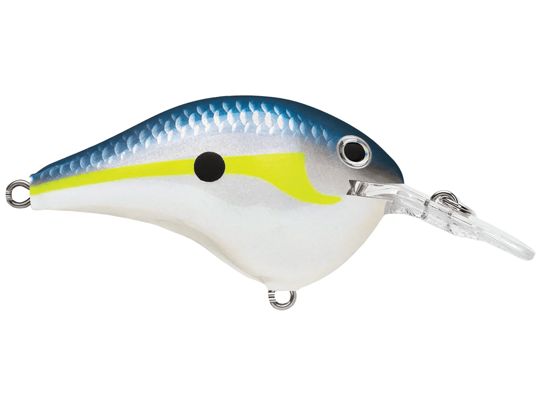 Rapala - DT6 Series Crankbait - Bobber Bargain