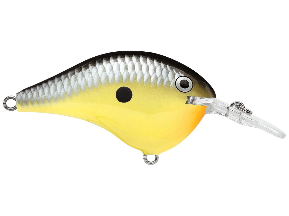 Rapala - DT6 Series Crankbait - Bobber Bargain