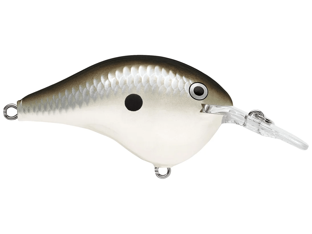 Rapala - DT6 Series Crankbait - Bobber Bargain