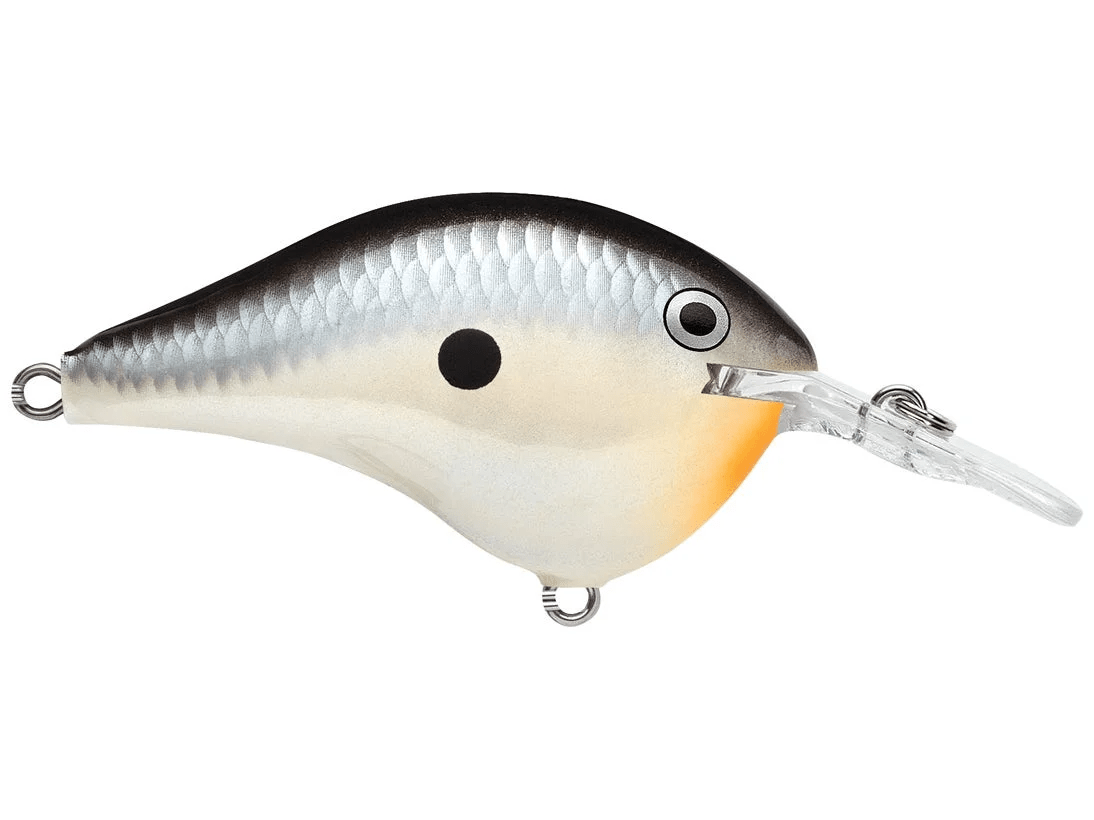 Rapala - DT6 Series Crankbait - Bobber Bargain