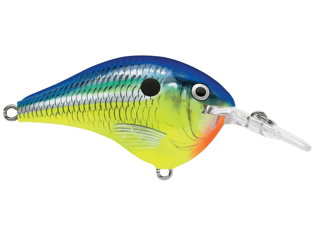 Rapala - DT6 Series Crankbait - Bobber Bargain