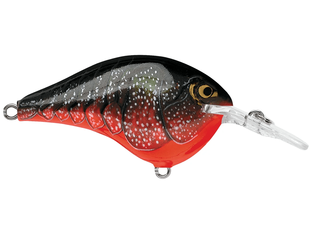 Rapala - DT6 Series Crankbait - Bobber Bargain
