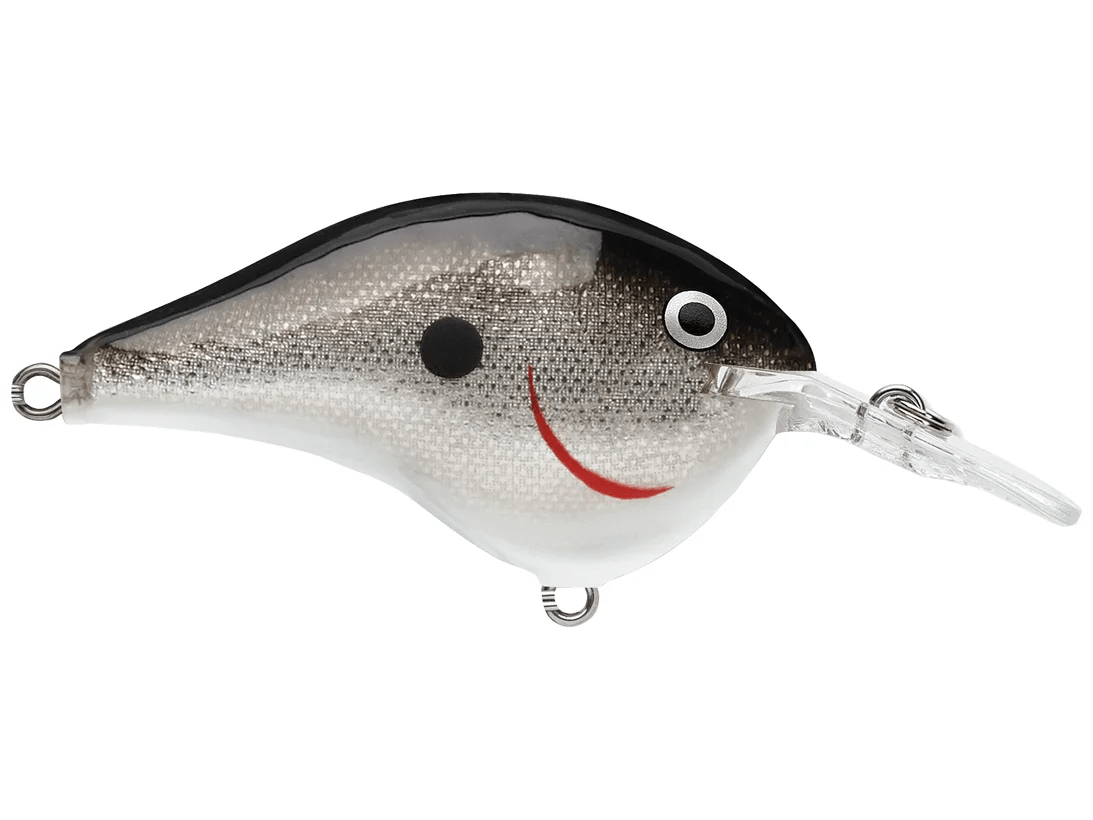Rapala - DT6 Series Crankbait - Bobber Bargain