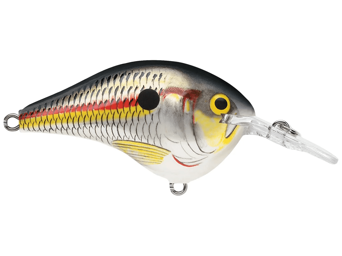 Rapala - DT6 Series Crankbait - Bobber Bargain