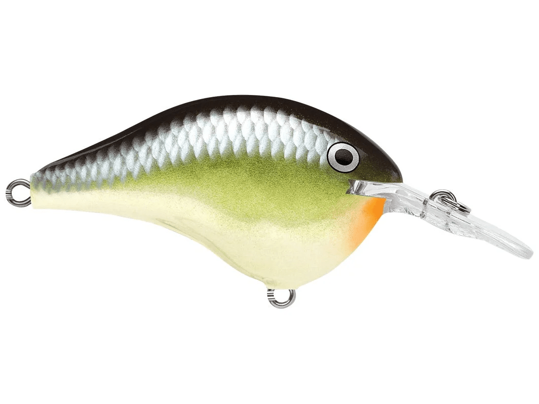 Rapala - DT6 Series Crankbait - Bobber Bargain