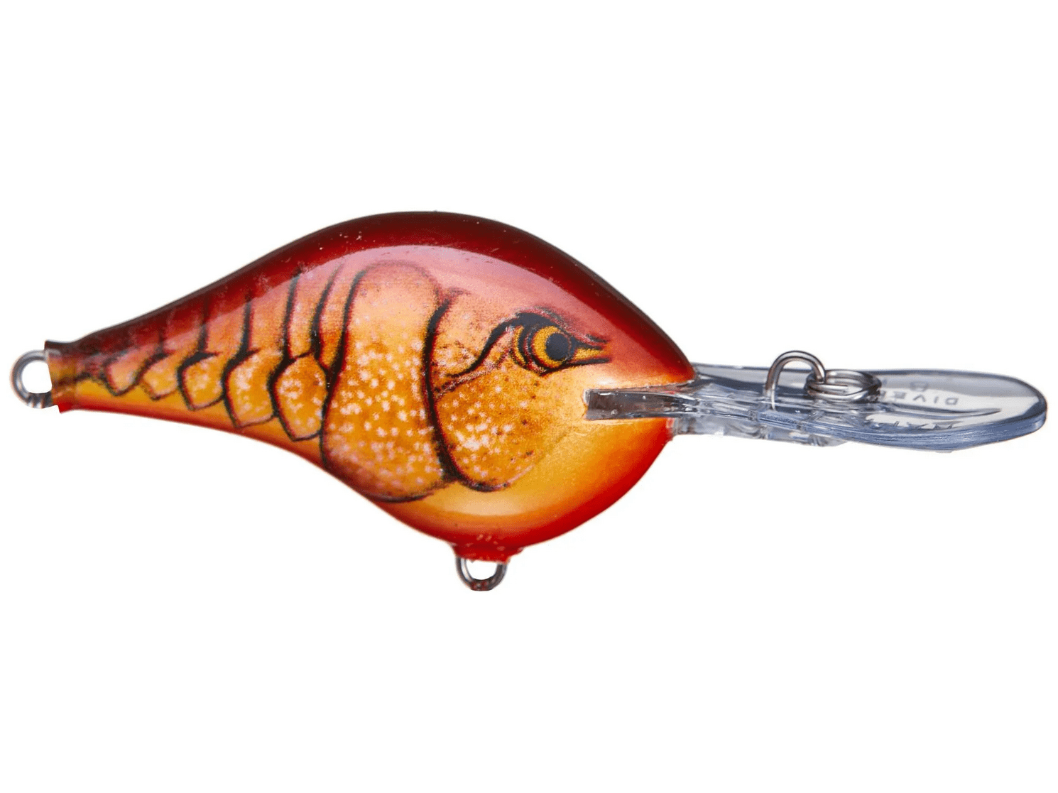 Rapala - DT8 Series Crankbait - Bobber Bargain
