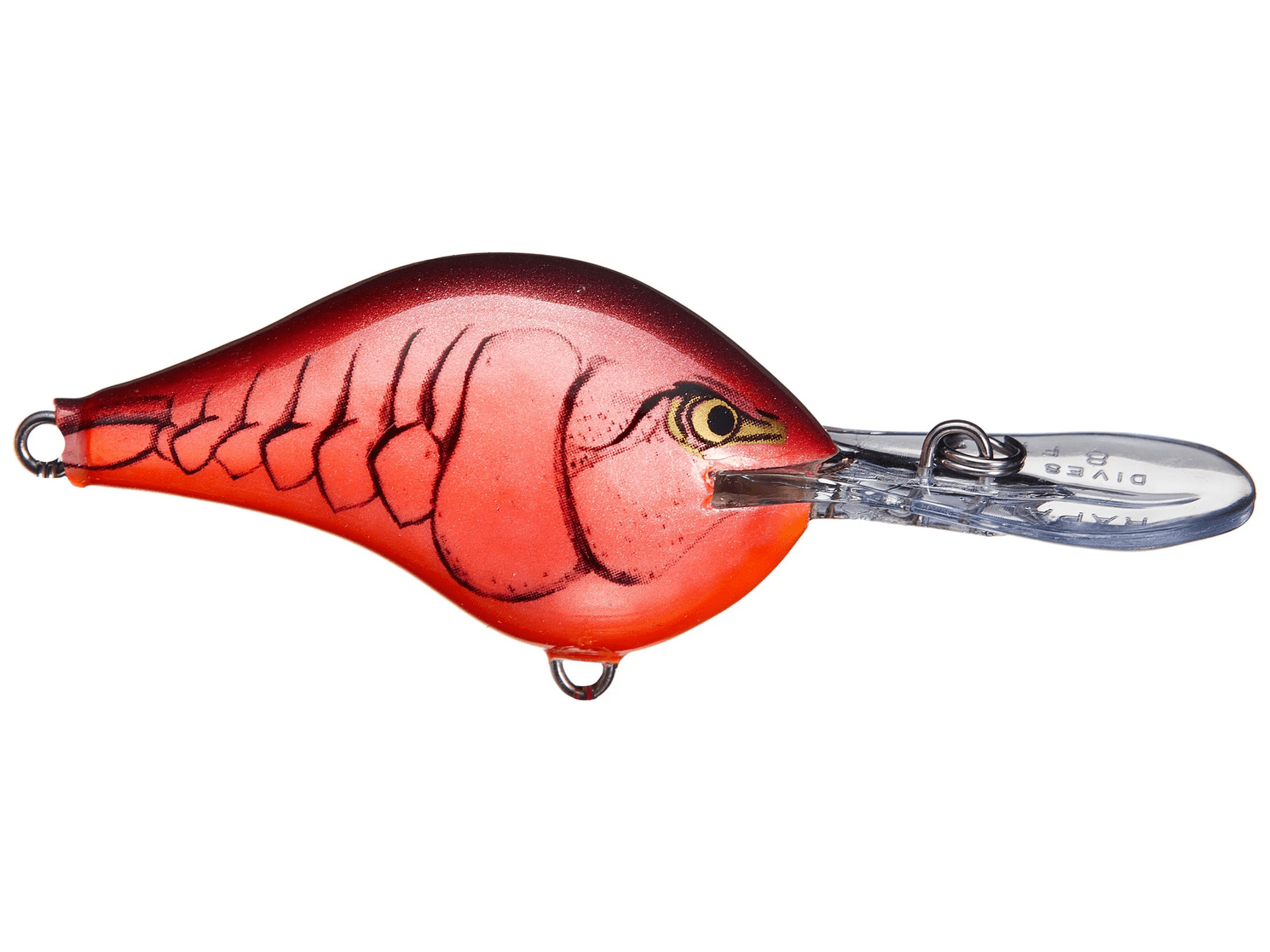 Rapala - DT8 Series Crankbait - Bobber Bargain